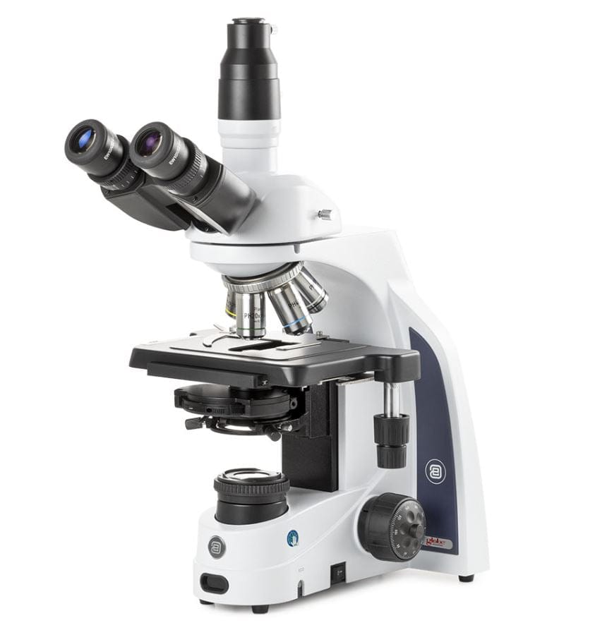 Globe Scientific™ iScope® Compound Microscope – Trinocular Siedentopf Head, Plan PH IOS Phase Contrast 10X/20X/S40X/X100X Oil Immersion EIS-1153-PLPHI