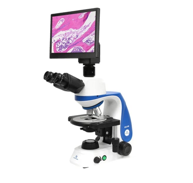 Fisher Anatomical Compound Microscope Bundle – Trinocular Head, Plan Achromat 4X/10X/40XR/100XR Oil Objectives, Double-Layer Rackless Mechanical Stage with Ceramic Insert 01000967