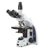 Globe Scientific™ iScope® Compound Microscope – Trinocular Siedentopf Head, Plan IOS 2X/4X/10X/S40X/X100X Oil Immersion EIS-1153-EPLI