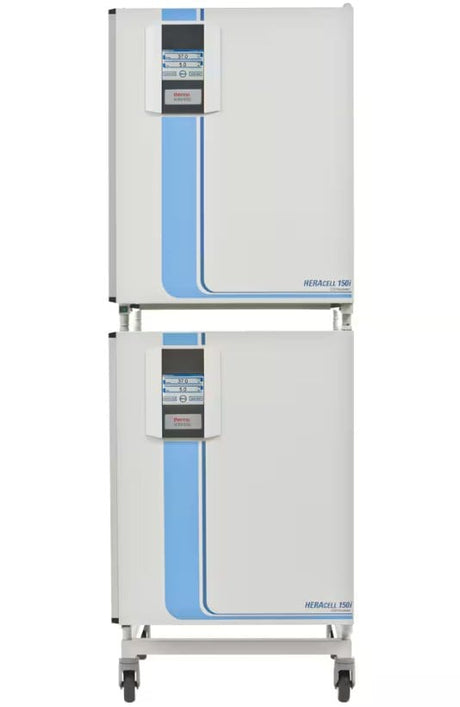 Thermo Scientific™ Heracell™ 150i CO₂ Incubator – Direct Heat Dual Chamber (2 × 5.3 cu. ft. / 150 L) 50116048