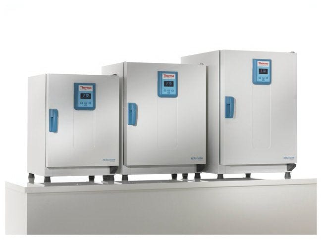 Thermo Scientific™ Heratherm™ General Protocol Microbiological Incubator – 4 cu. ft. (117 L) Capacity, Gravity Convection 51028063